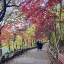 산인어탕칼국수 이미지