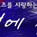 심쿵하냥 이미지