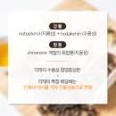 몸신한의원 이미지