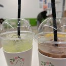 러블리메인쿤 | 안산 고양이카페/애견카페 다녀온 후기(고양이숲,오르치그로치,입장료,음료,분위기,고잔동,중앙동)