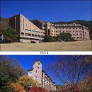 한티 이미지