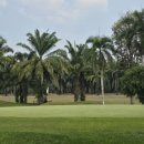 (주)그린월드 이미지