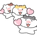 불타는짬뽕 이미지