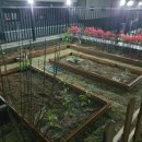 옥이텃밭 이미지