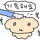 팔판빛오름작은도서관 이미지