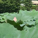 안심창조밸리 천천둘레길 이미지