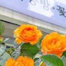 달막공방달막꽃집 이미지