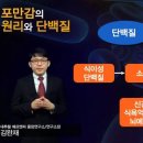 수완식품 이미지
