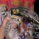 느낌있는 걸 이미지