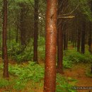 남원 개령암지 마애불상군 이미지