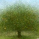 하례학림로 이미지