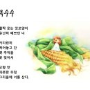 [ 옥수수 ] - 우리 집 철쭉꽃은 (최숙영 동시조집) - p. 120 이미지