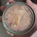 [고양이] 피니키 캣 고양이 캔 95g 참치 4종 구매 후기 🐱😋