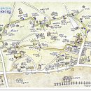 증3리 Daum카페