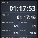 길 | 안산 백운공원둘레길 후기