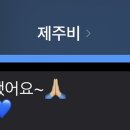 제주비(JEJU vie) 네이버블로그