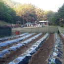 강변집 - 양평군 양수로152번길 31 | 강변집