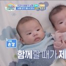 쌍둥이만두