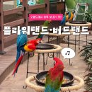 오월드에 이런 곳도 있었어? 버드랜드+플라워랜드 숨은 매력