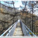 팔야1리 마을회관 이미지