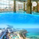 덕산카정비 | 8월국내여행지추천 삼척 가볼만한곳 1박2일 여름 여행 코스 (장호항, 환선굴, 쏠비치)