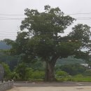 괘방령로 이미지