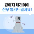 상록 동물병원 이미지