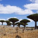 환상의 섬 이미지