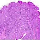 화신병리과의원 이미지