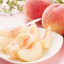 제트 스퀘어(주) 이미지