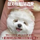 (주)제이디에스팜 | [예신관리] 누워서 살빼고 싶은 사람? 강동 바이오포톤, 장지희 피부경락