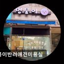 멍뭉이네 | {인천, 애견미용실, 추천!) 멍뭉이반려애견미용실 인천 애견미용실, 믿고 맡길 곳