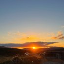 누아르 블랑 이미지