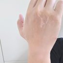 피부다75 | 병풀 75%로 자극 없이 피부 케어 <리숨 시카75 나노 수분크림> 후기