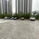 도그투케이크 | (청주) 반려견 애견케이크 전문점 '도그투케이크' 왕얼굴케이크 후기