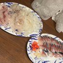 마트 회가 가성비?! 고등어회/밀치회/도다리회/갑오징어회 애월농협 하나로마트 구매 후기! 100%내돈내산!