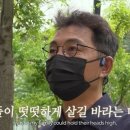 동물농장