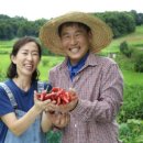 따순농장 이미지