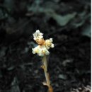 주왕산공원 관리사무소 이미지