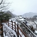 영월청령포 이미지