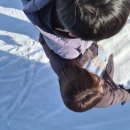 사계약국 이미지