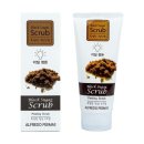 알프레도 이미지