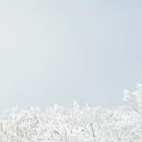 대건하이테크