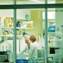 한국화이자제약(주) 이미지