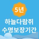 Dr.Mini 하늘다람쥐 전문병원 | [Dr.Mini 전문병원]'하늘다람쥐 전문 12년' 루블리제라서 '분양 후 수명 보장 기간이 5년'