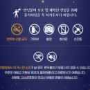 경기도 가볼 만한 곳 : 2025 화담숲 반딧불이 후기
