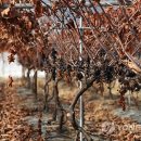 봉산리경로당 이미지