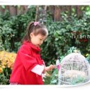 이조스튜디오 Daum카페