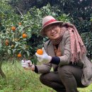 야베스농장 이미지