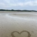 몽산바람팬션 | 충남 태안 달산포 해루질 다녀온 후기 비용 정보 기록용